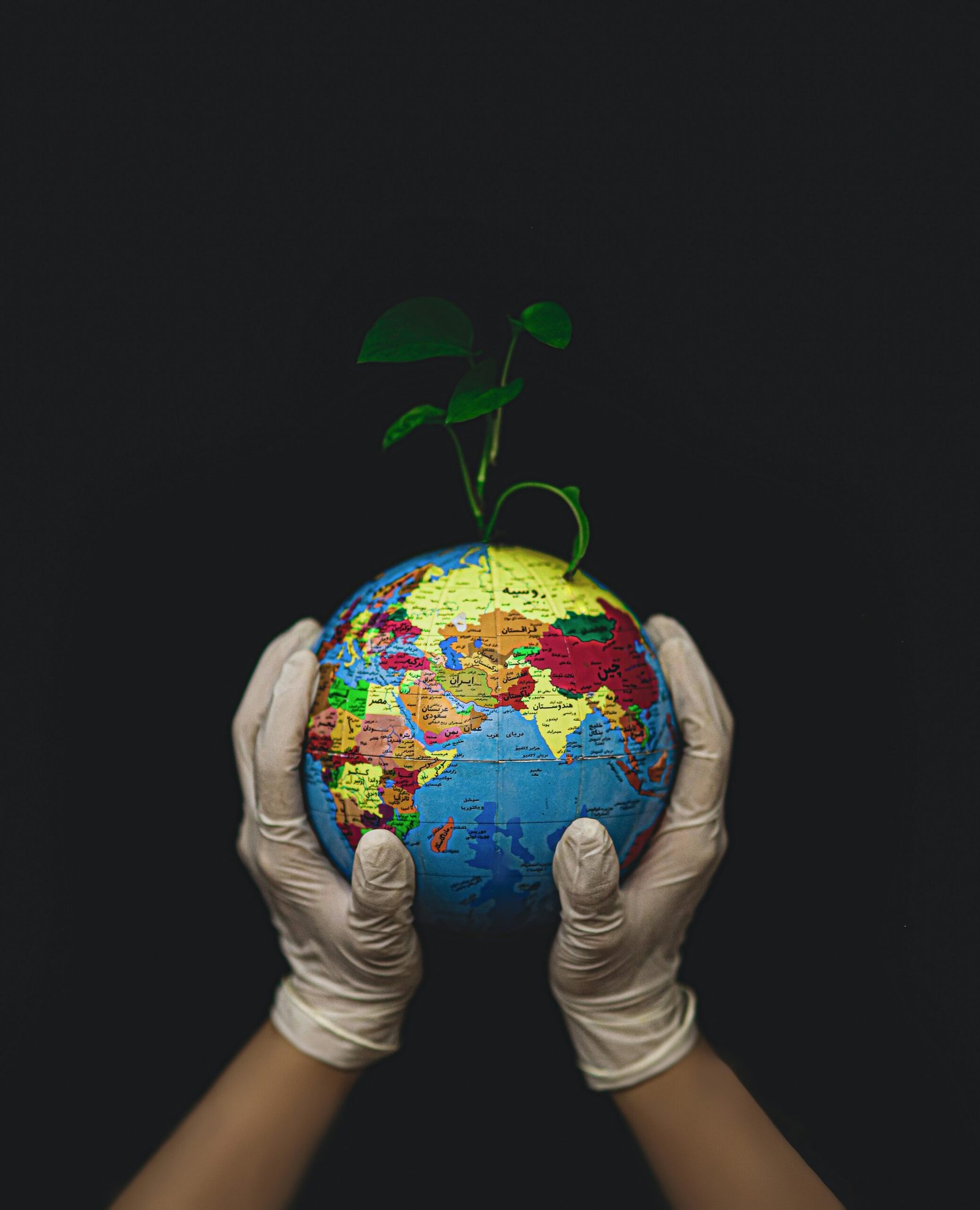 Module 1 - Introduction to business sustainability
